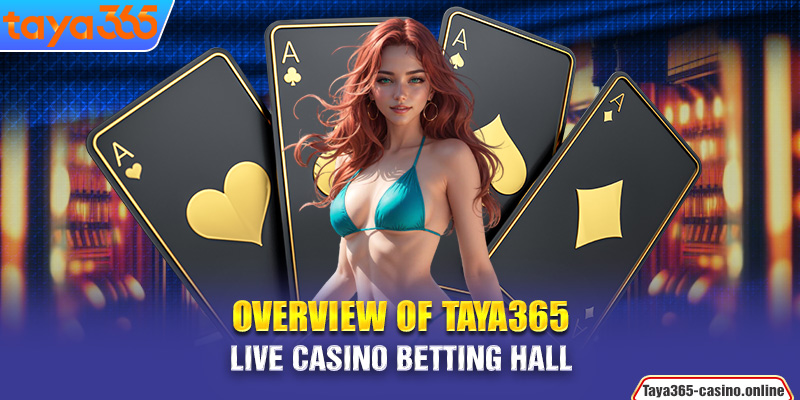 Overview of the MT live casino betting hall