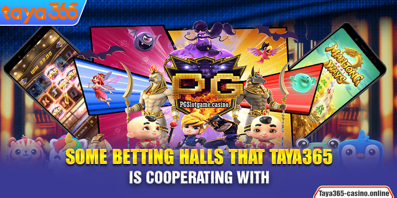 Some betting halls that Taya365 is cooperating with