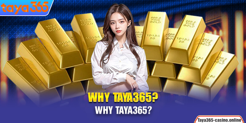 Why Taya365?