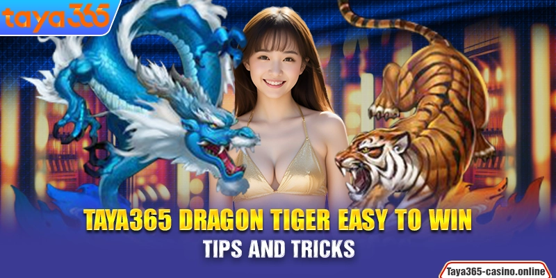 Taya365 Dragon Tiger easy to win - Tips and Tricks